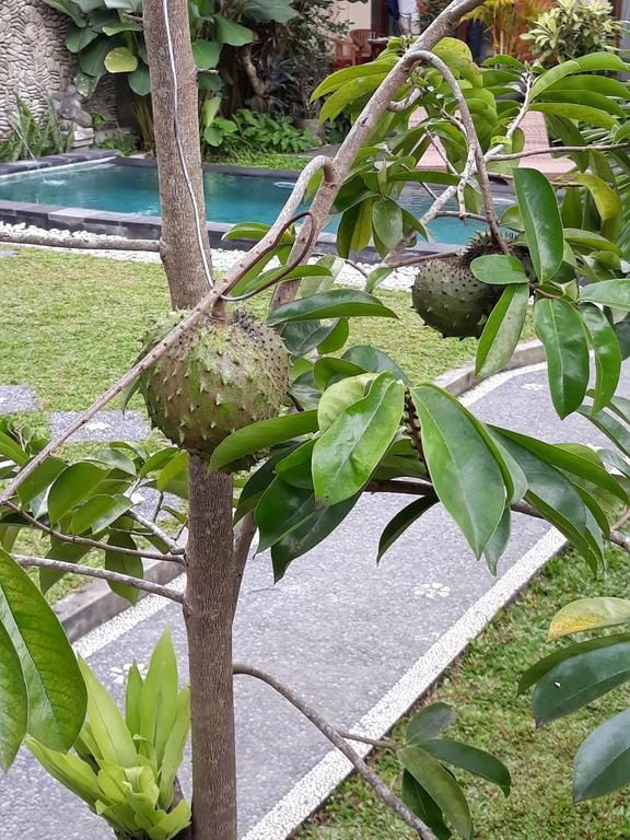 Umah Dangin Guest House Ubud  Bagian luar foto