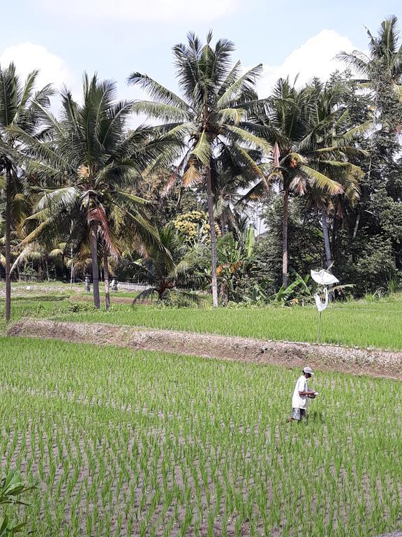 Umah Dangin Guest House Ubud  Bagian luar foto