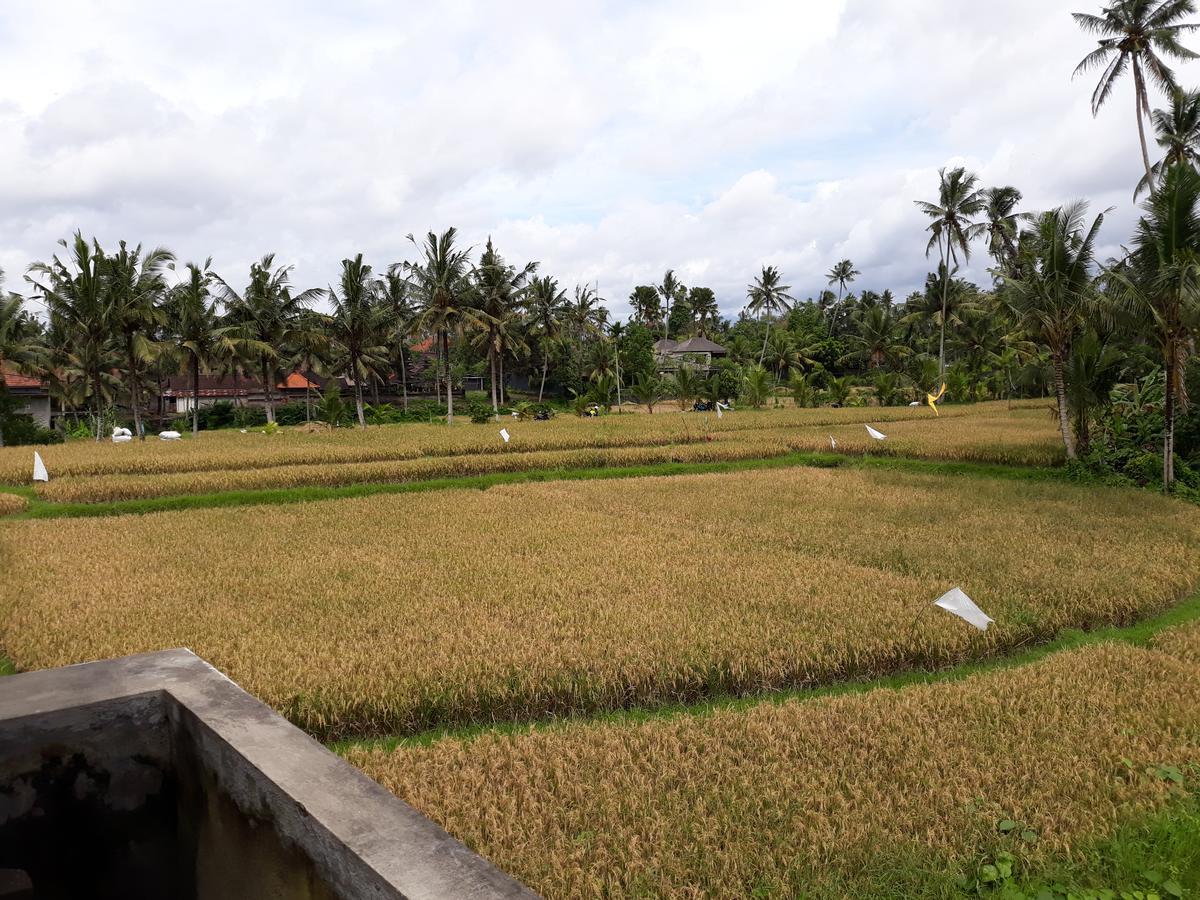 Umah Dangin Guest House Ubud  Bagian luar foto