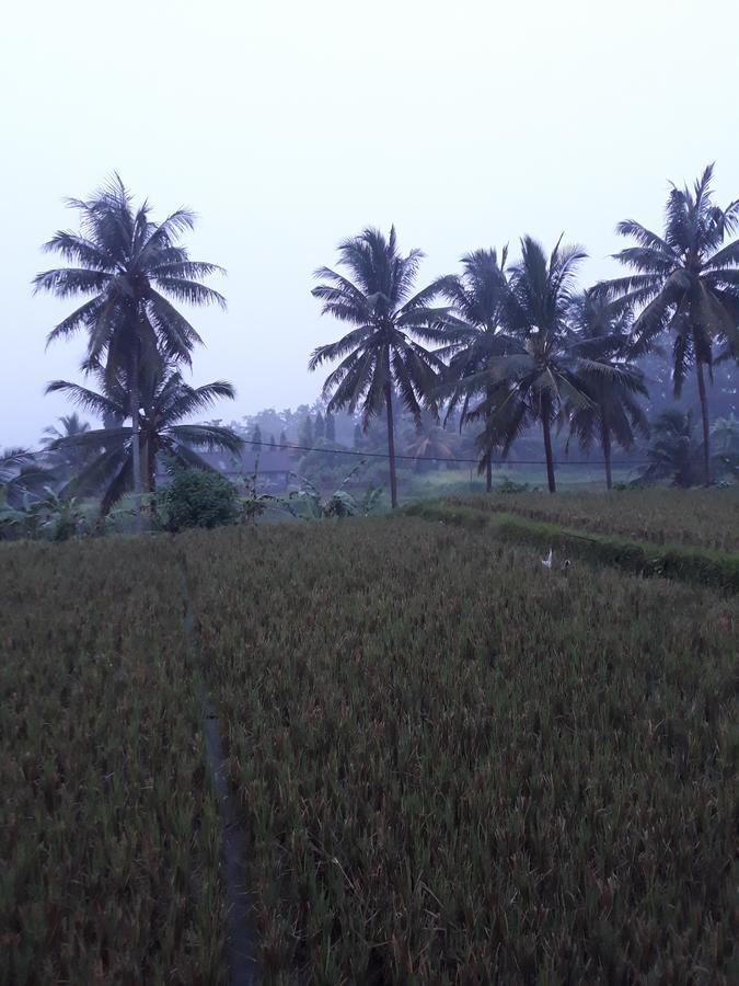 Umah Dangin Guest House Ubud  Bagian luar foto